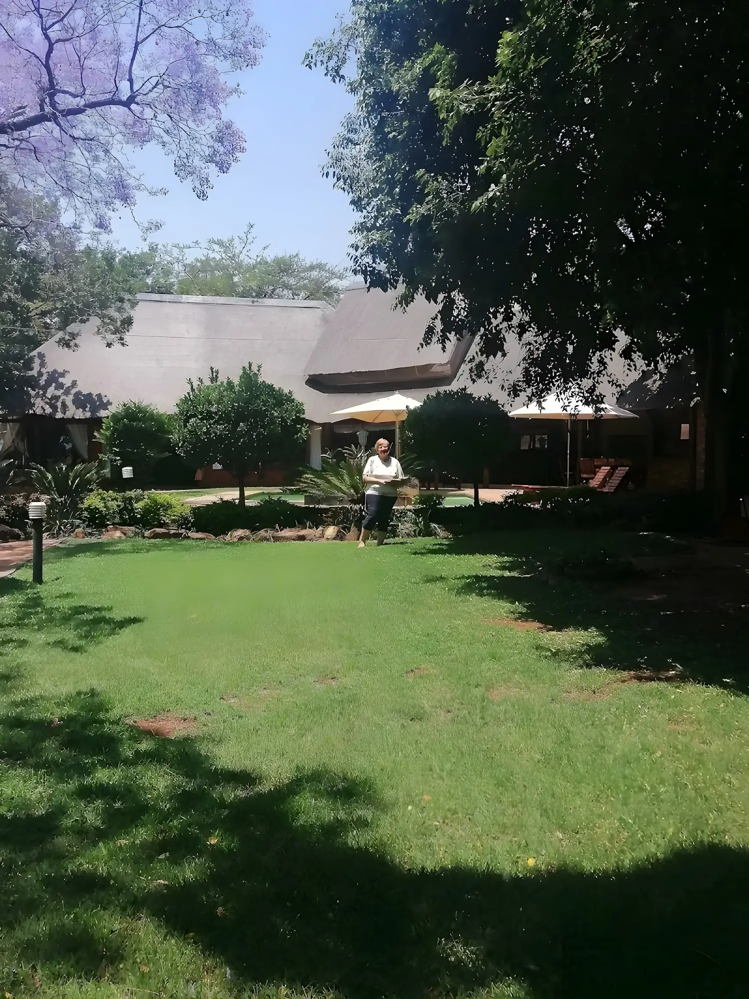 The lawn under the trees, the lapa behind