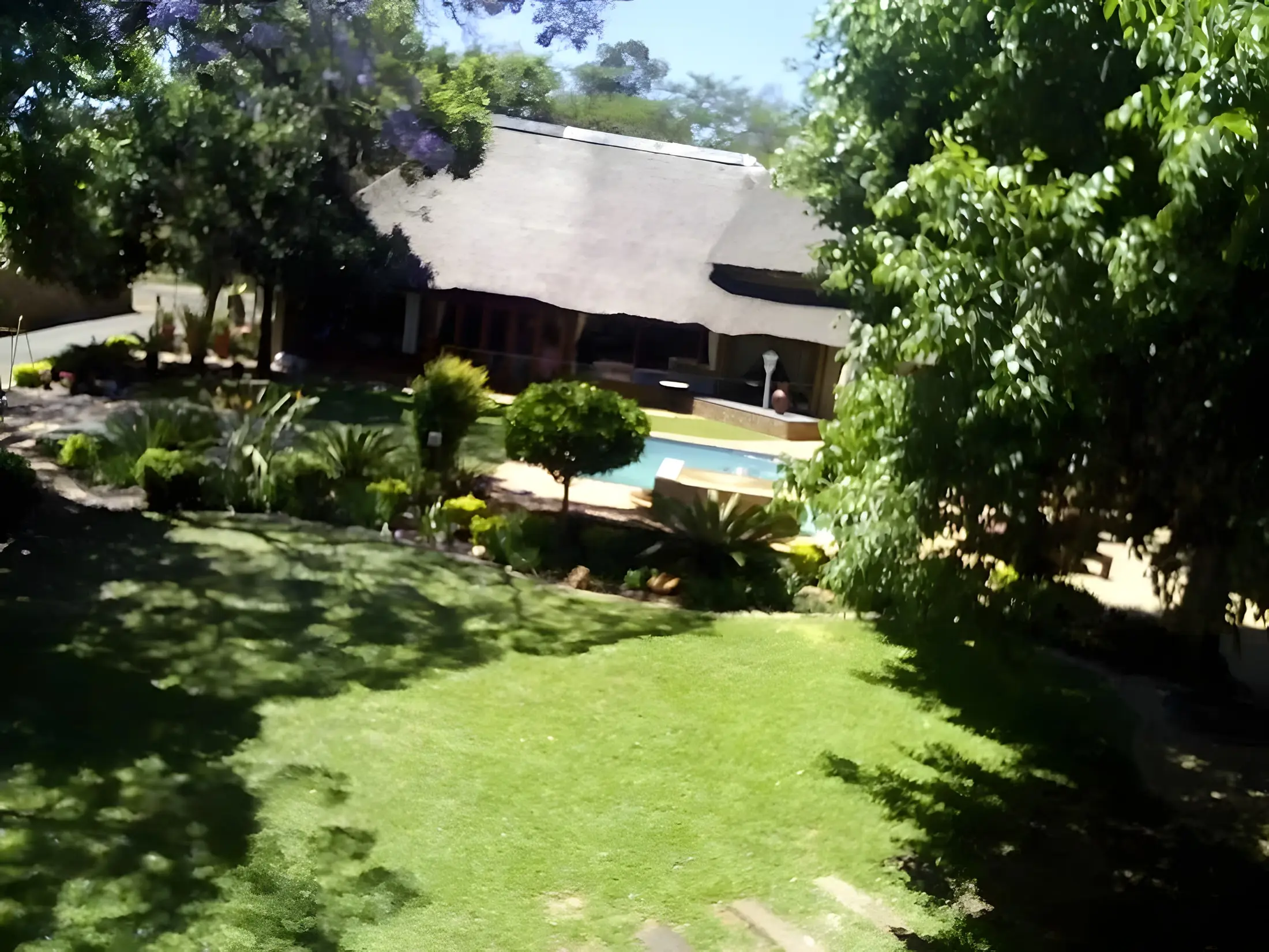 The garden from above: the lawn, the lapa's thatch and the pool among the trees